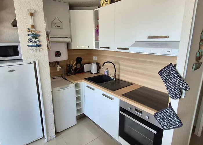 Mykonos Iii, T2 Mezzanine, Vue Mer, Parking Et Wifi Daire Agde